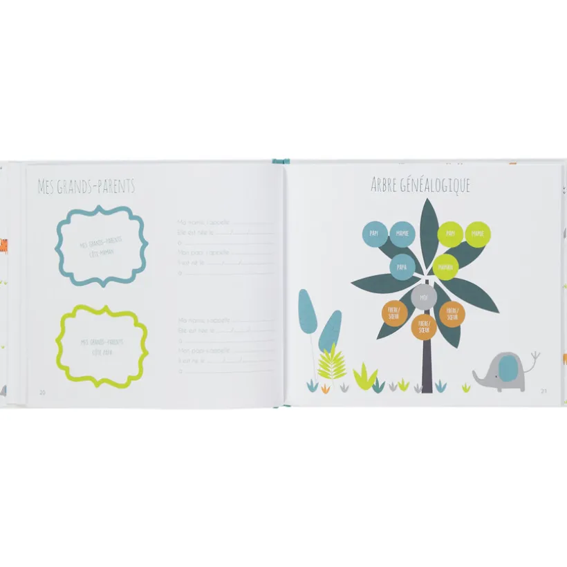 Album de naissance garçon