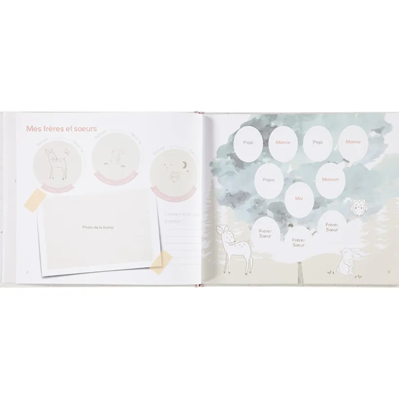 Album de naissance Little Deer
