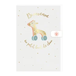 Carte de vœux avec enveloppe "Bienvenue au petit bout de chou"