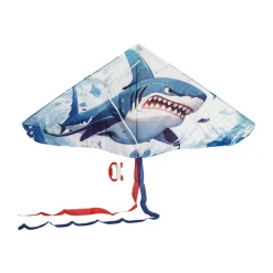 Cerf-volant illustré 107 x 52 cm (modèle aléatoire)