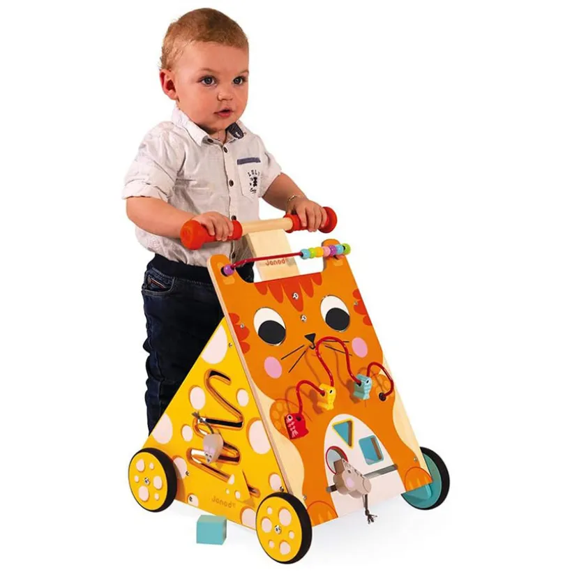 Chariot Multi-Activités Chat