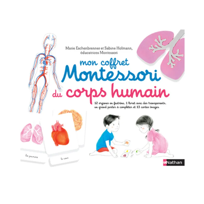 Coffret du corps humain