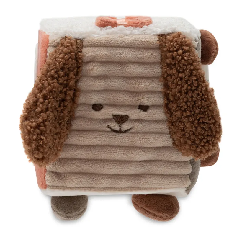 Cube d'activités Animal Friends 1e Âge