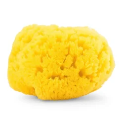 Eponge de Bain 100% Naturelle - Eponge de Mer
