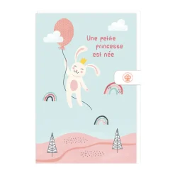 Faire-part de naissance avec enveloppe "Une petite princesse est née"
