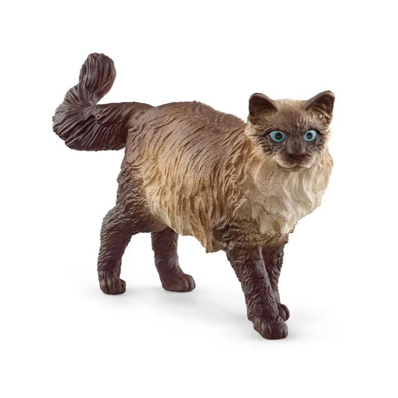 Figurine Chat ragdoll