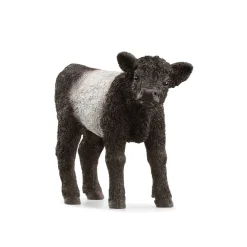 Figurine veau Galloway