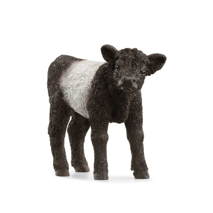 Figurine veau Galloway