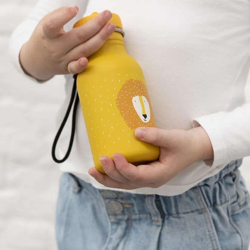 Gourde en acier inoxydable 350ml - Mr. Lion