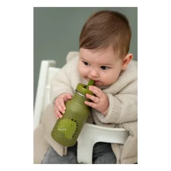 Gourde en acier inoxydable Mr Dino 350ml