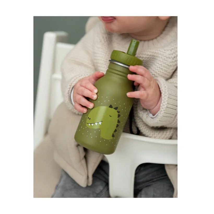 Gourde en acier inoxydable Mr Dino 350ml