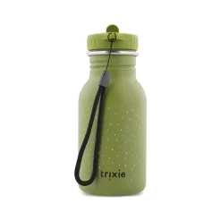 Gourde en acier inoxydable Mr Dino 350ml