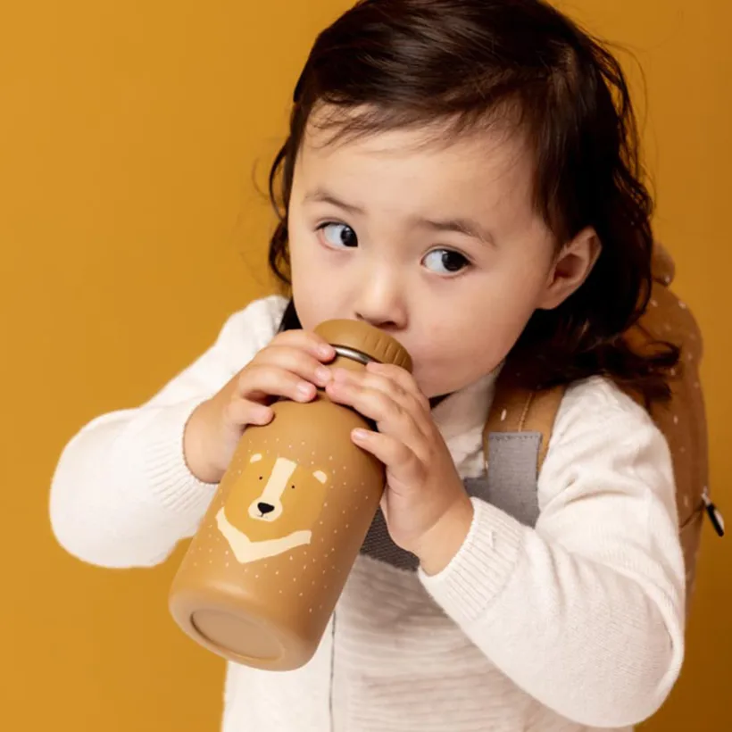 Gourde en inox Mr. Bear 350ml