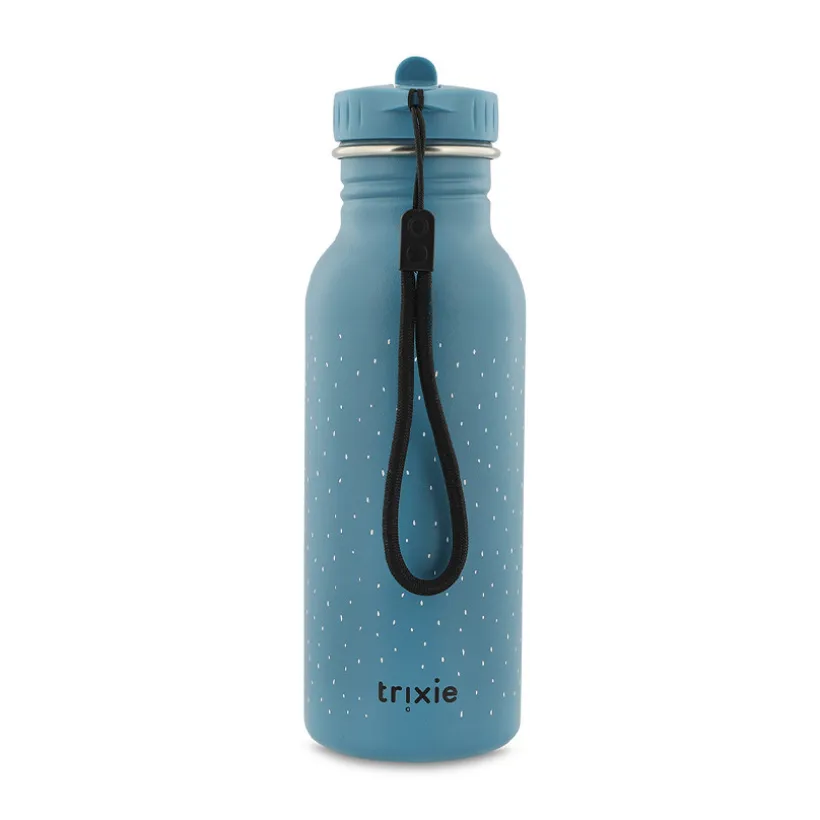 Gourde en inox Mr. Triceratops 500ml