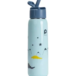 Gourde en métal Mes amis les dinos avec paille 380 ml