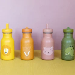 Gourde Mr. Lion 350 ml