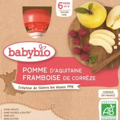 Gourde sucrée Pomme et Framboise 4x90g