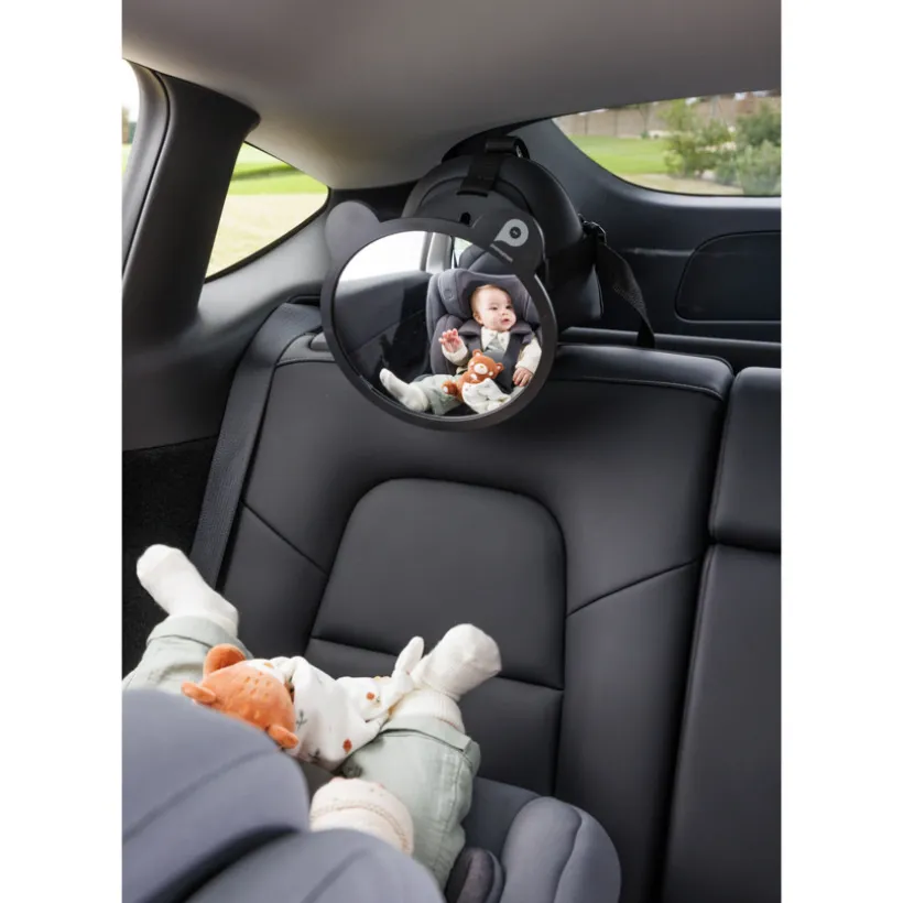 Grand miroir de voiture - Ours