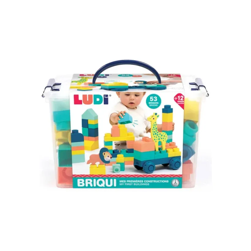 Jouet de construction Briqui