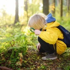 Kit de découverte de la nature en bois
