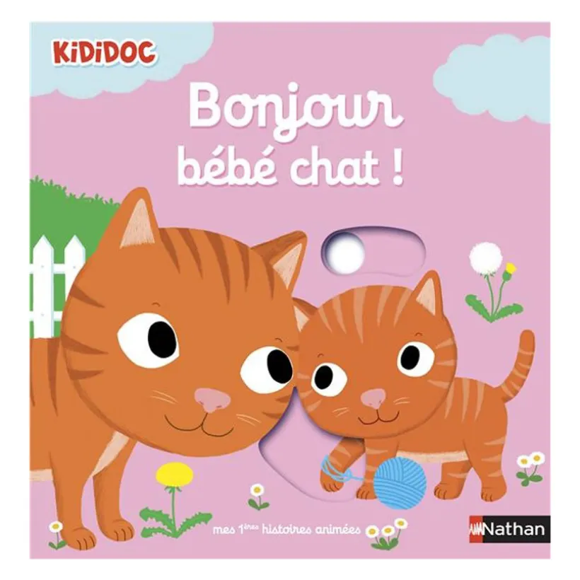 Livre Bonjour bébé chat