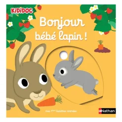 Livre Bonjour bébé lapin