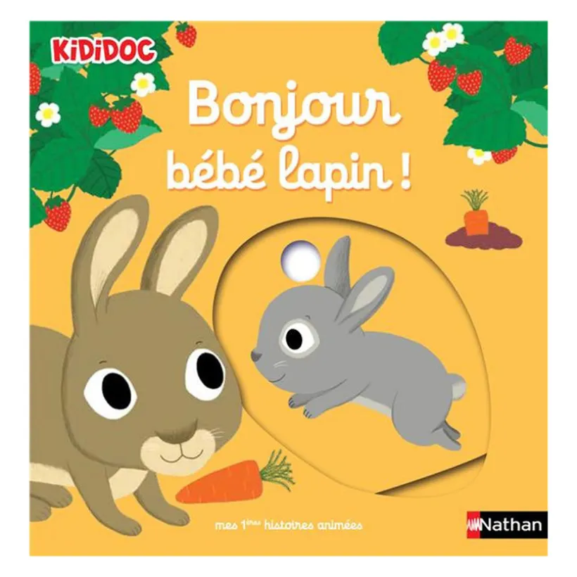 Livre Bonjour bébé lapin