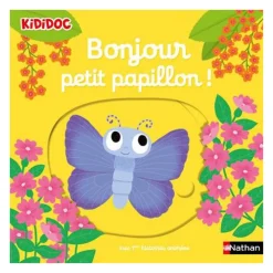 Livre Bonjour petit papillon