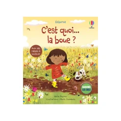 Livre C'est quoi la boue ?