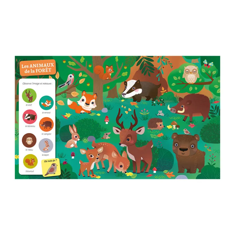 Livre "Cherche et trouve des tout-petits - Chez les animaux"