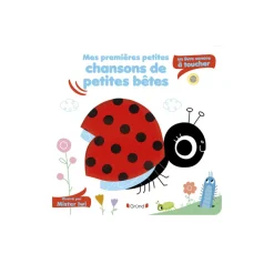 Livre Mes premières petites chansons de petites bêtes