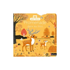 Livre Promenade dans les bois