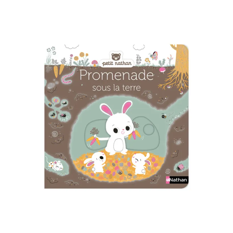 Livre - Promenade sous la terre