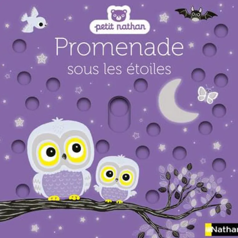 Livre Promenade sous les étoiles