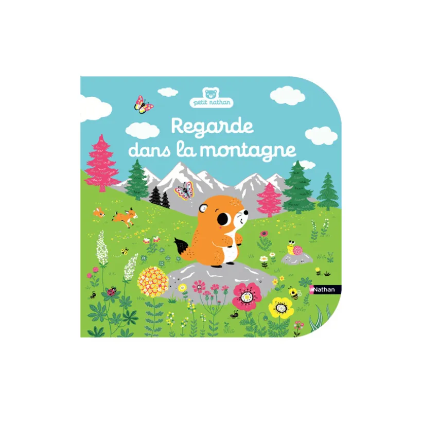 Livre - Regarde dans la montagne