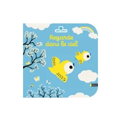 Livre Regarde dans le ciel