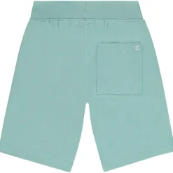 Lot de 2 bermudas unis pour garçon