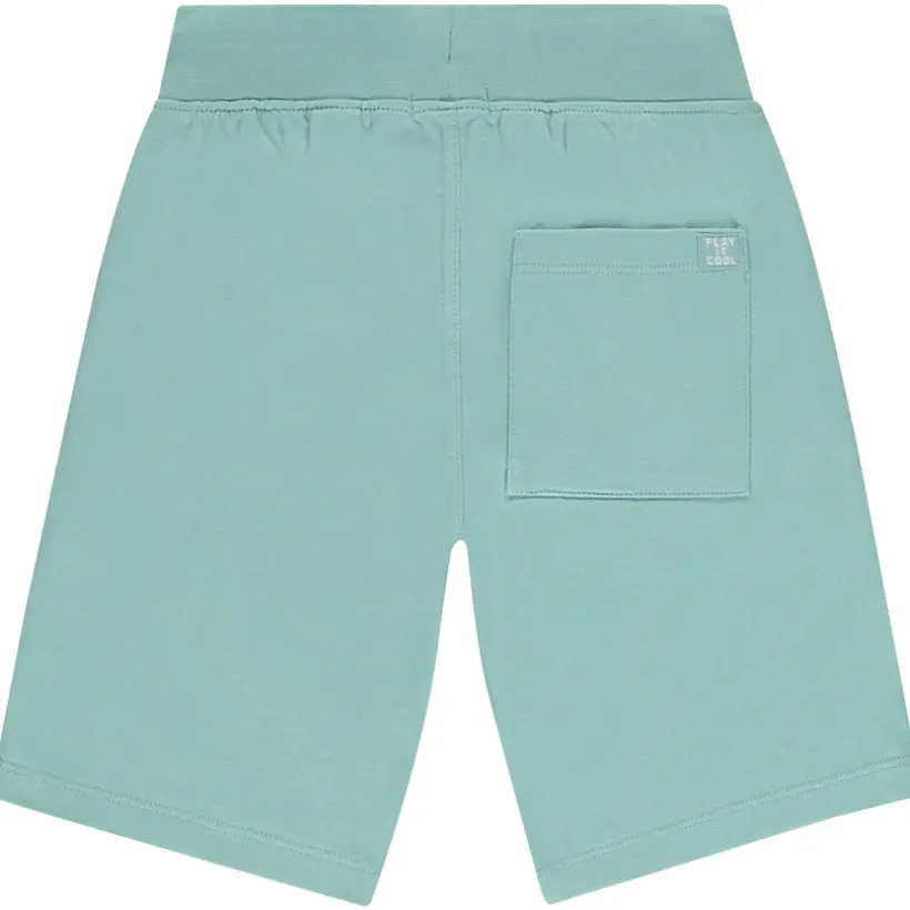 Lot de 2 bermudas unis pour garçon