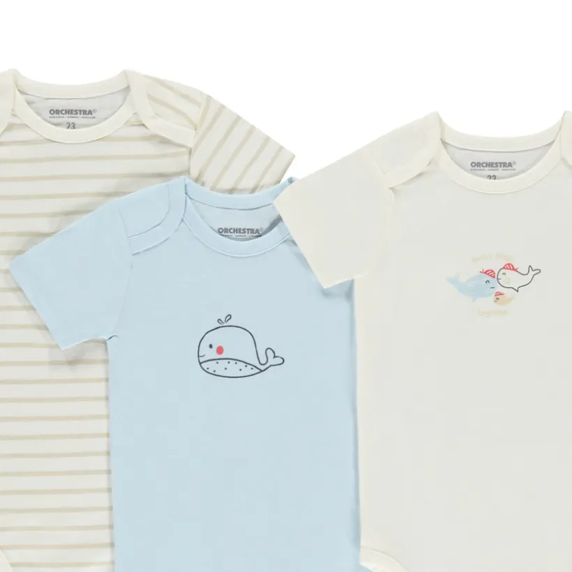 Lot de 7 bodies manches courtes motifs baleines pour bébé garçon avec ouvertures différentes selon l'âge