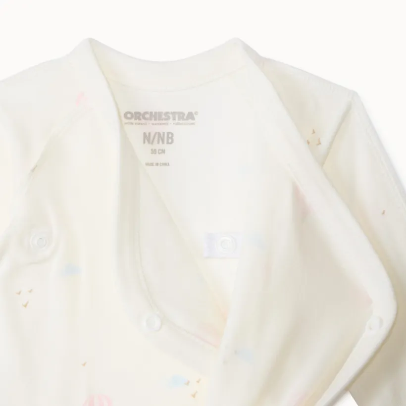 Lot de 7 bodies manches longues motifs Artic pour bébé garçon avec ouvertures différentes selon l'âge