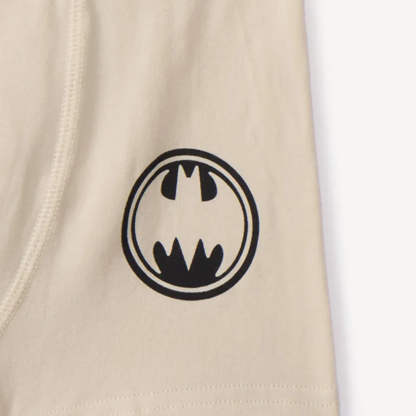 Lot de 3 boxers Batman Warner pour garçon