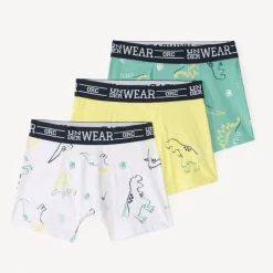 Lot de 3 boxers fantasie motifs dinosaure pour garçon
