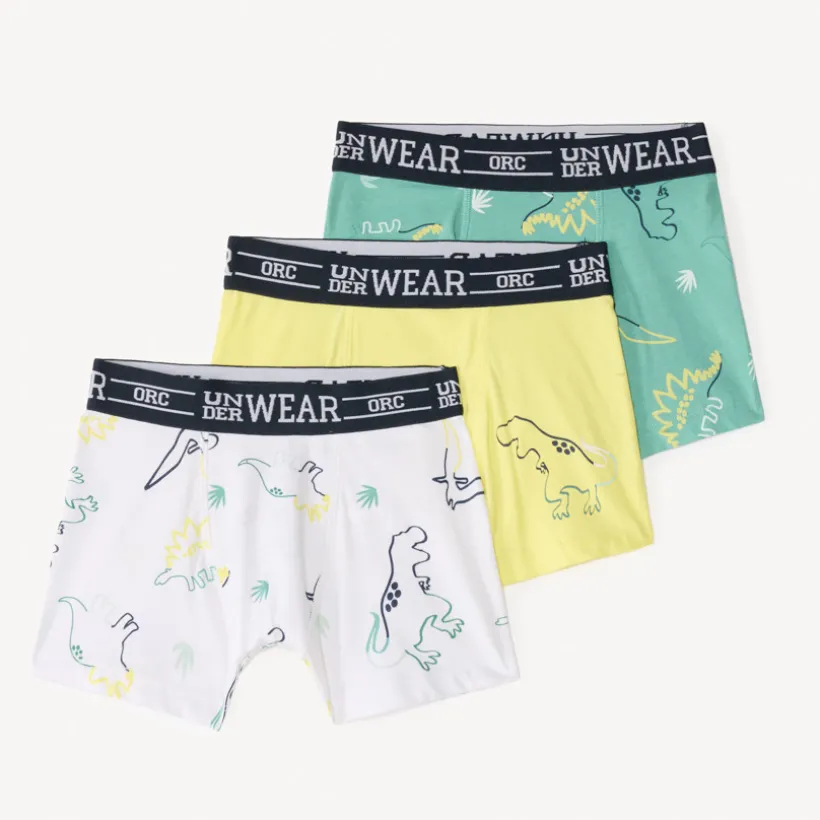 Lot de 3 boxers fantasie motifs dinosaure pour garçon