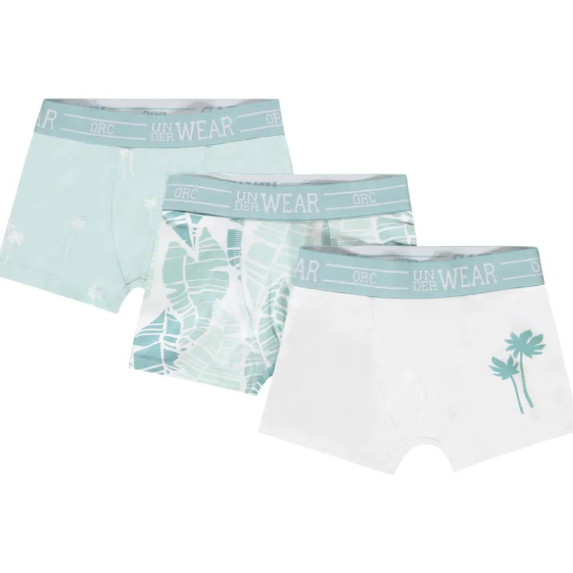 Lot de 3 boxers motifs palmiers pour garçon
