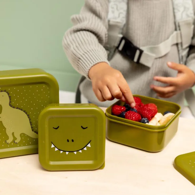 Lot de 3 lunchbox gigognes Mr. Dino vert