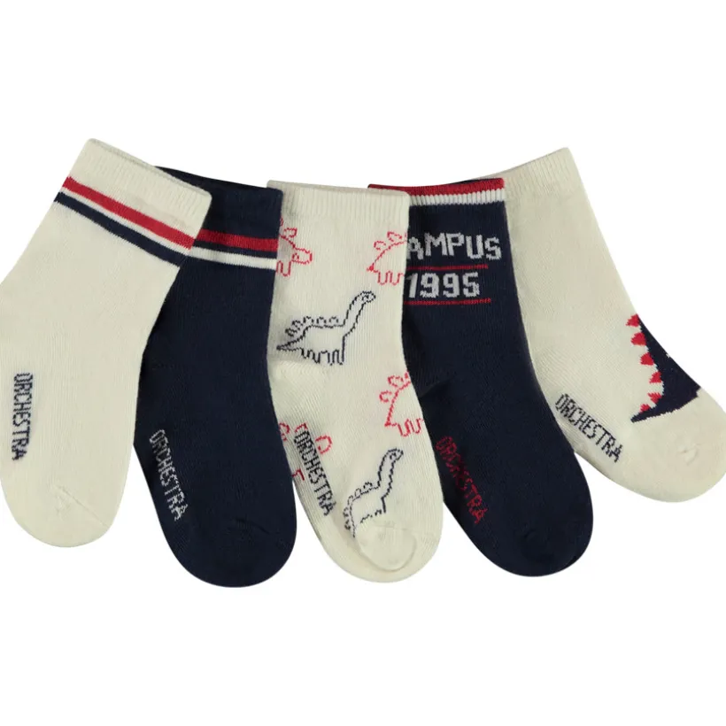 Lot de 5 paires de chaussettes dinosaures pour bébé garçon