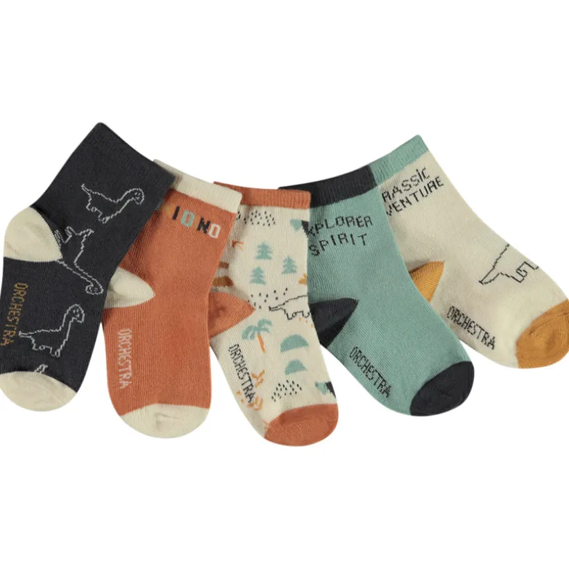 Lot de 5 paires de chaussettes fantaisie pour bébé garçon