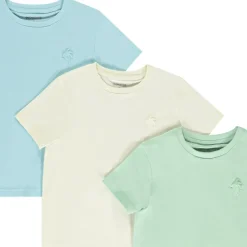 Lot de 3 t-shirts manches courtes unis avec print pour garçon