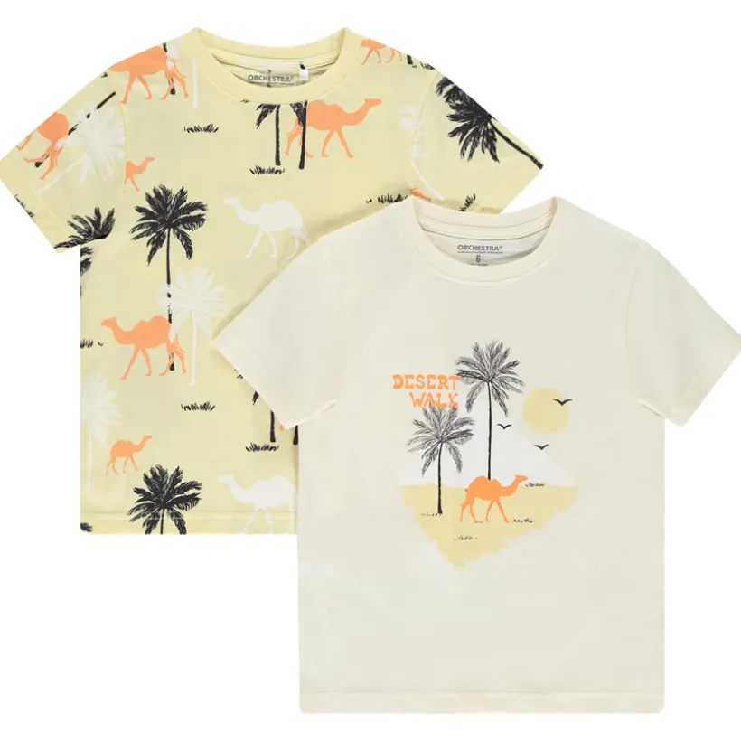 Lot de 2 t-shirts manches courtes fantaisie pour garçon