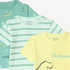 Lot de 3 t-shirts manches courtes motif dinosaures pour garçon